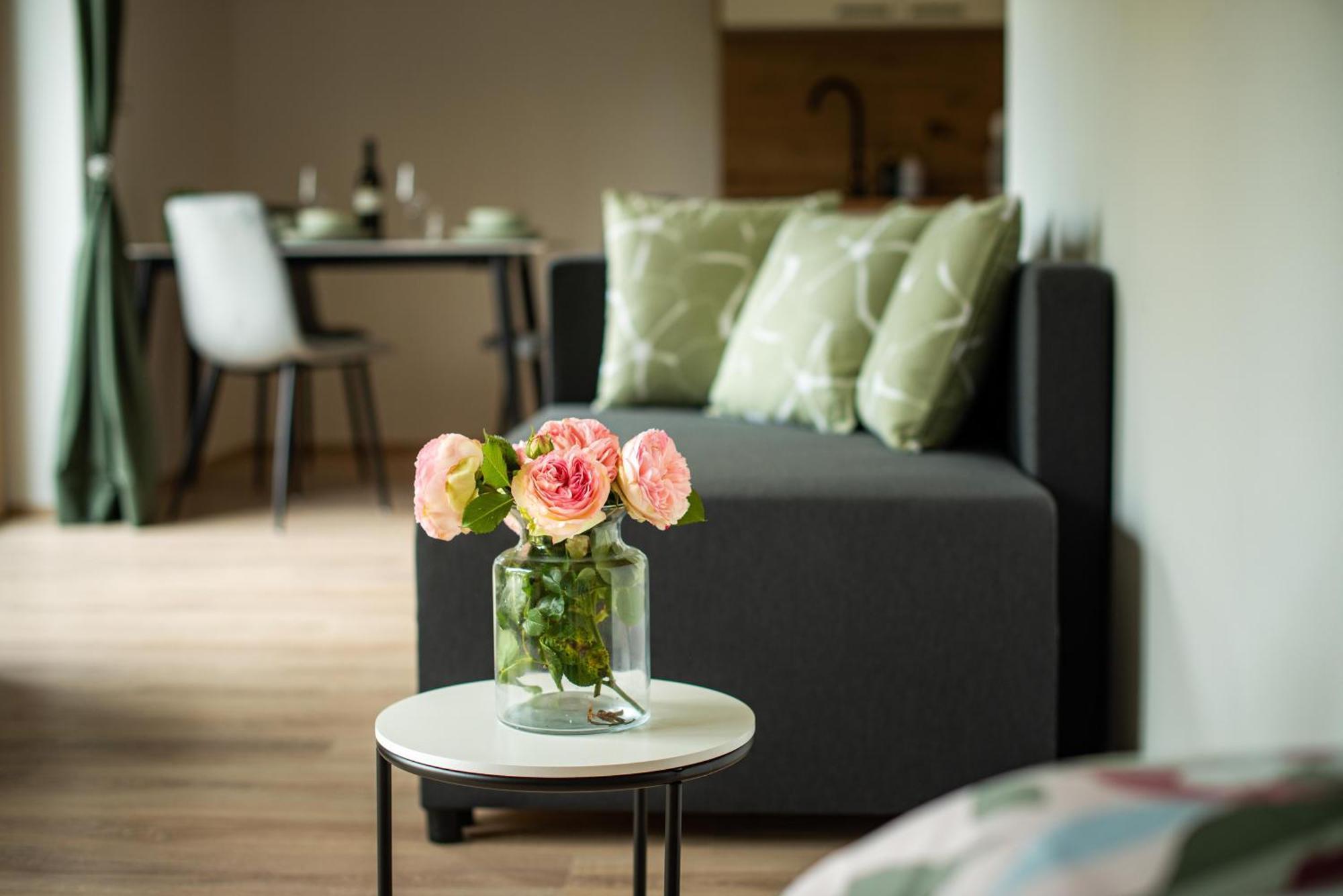 Zoya Apartment Bled